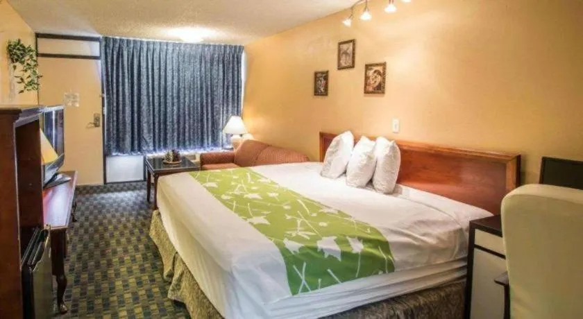 Bed in Quality Inn Kissimmee West - Lake Buena Vista South