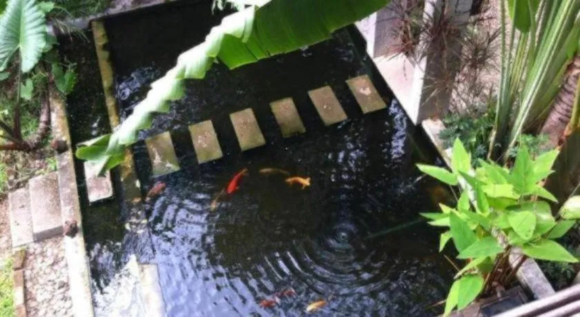 Baan Gong Kham Hotel