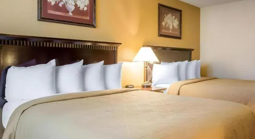 Bed in Quality Inn San Bernardino - Loma Linda Bed in Quality Inn San Bernardino - Loma Linda