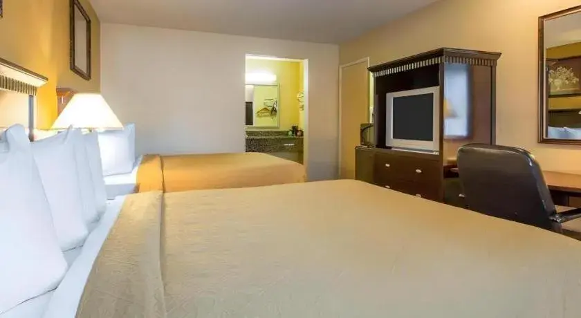 Bed in Quality Inn San Bernardino - Loma Linda Bed in Quality Inn San Bernardino - Loma Linda
