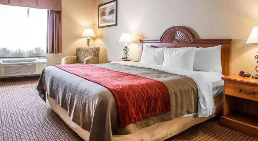 Bed in Quality Inn Bed in Quality Inn