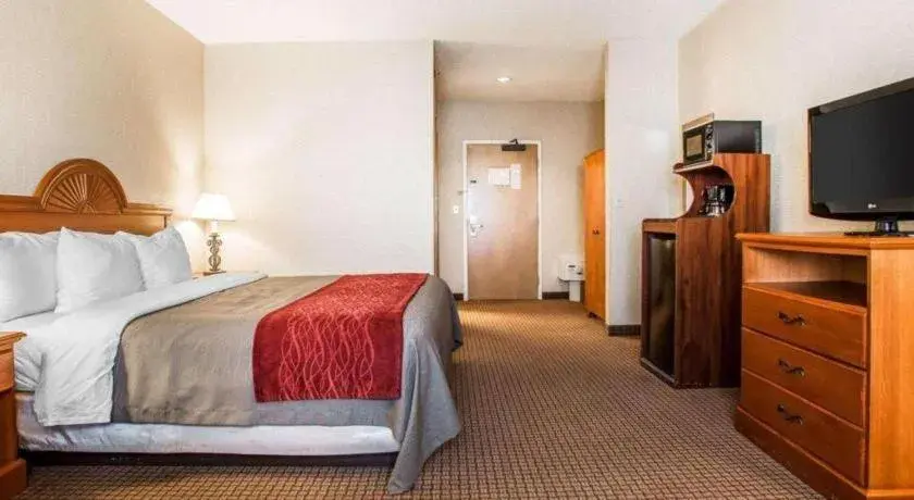 Bed in Quality Inn Bed in Quality Inn