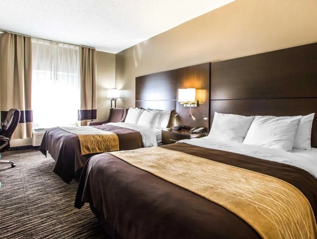 Bed in Quality Inn Dayton North - Vandalia