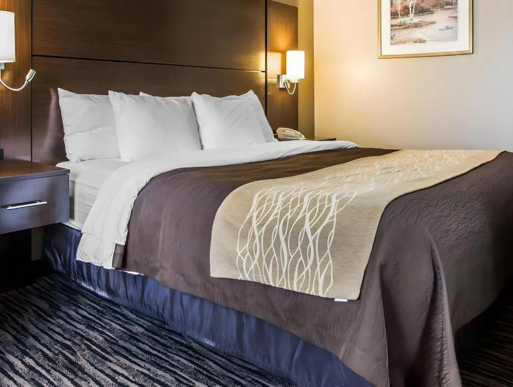 Bed in Quality Inn Dayton North - Vandalia