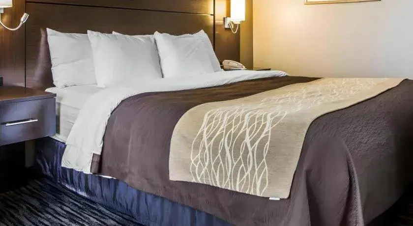 Bed in Quality Inn Dayton North - Vandalia Bed in Quality Inn Dayton North - Vandalia