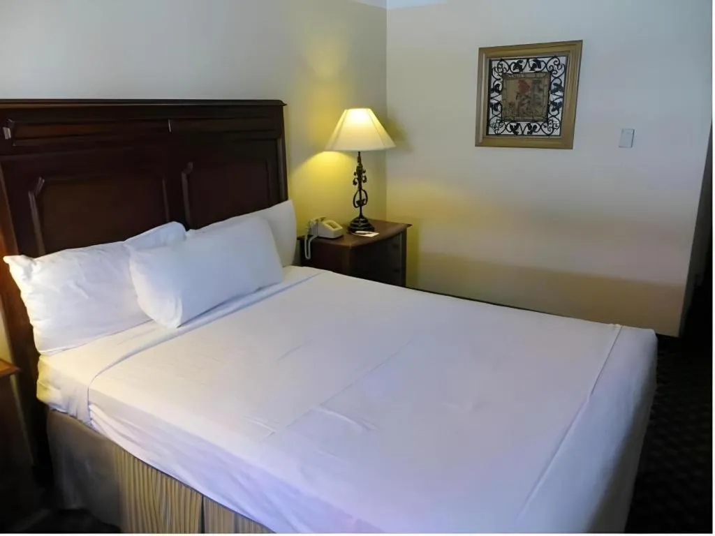 Bed in El Cortez Hotel & Casino - 21 and over only