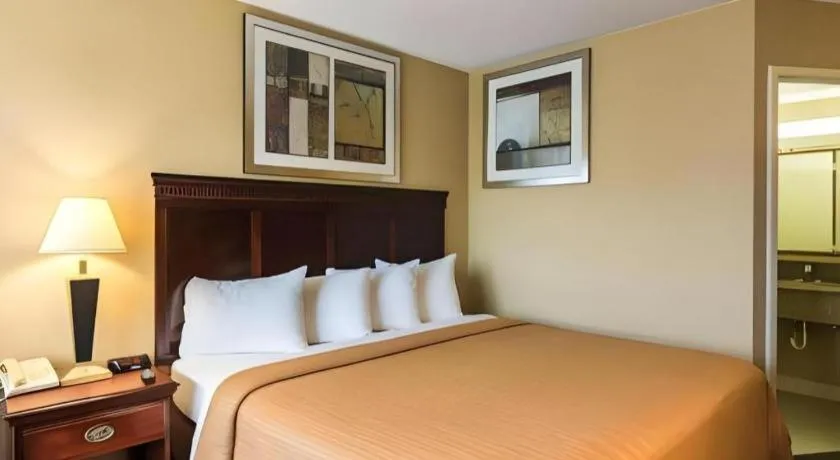 Bed in Quality Inn Manassas