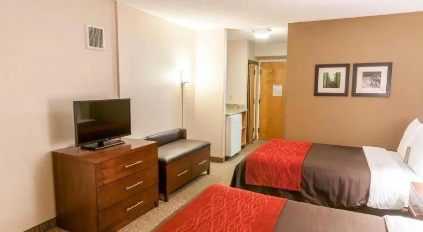 Bed in Comfort Inn Quantico