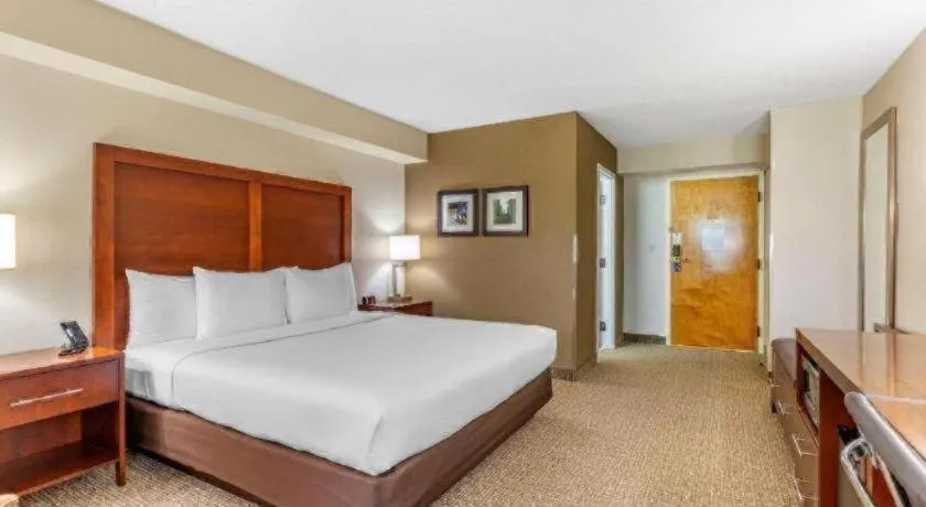 Comfort Inn Quantico