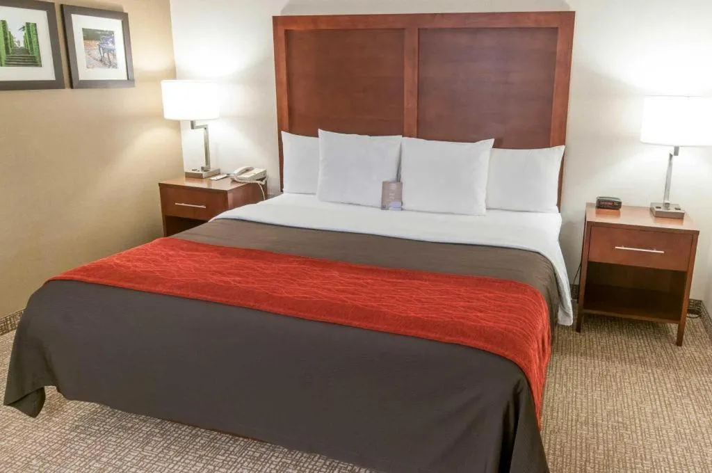 Bed in Comfort Inn Quantico