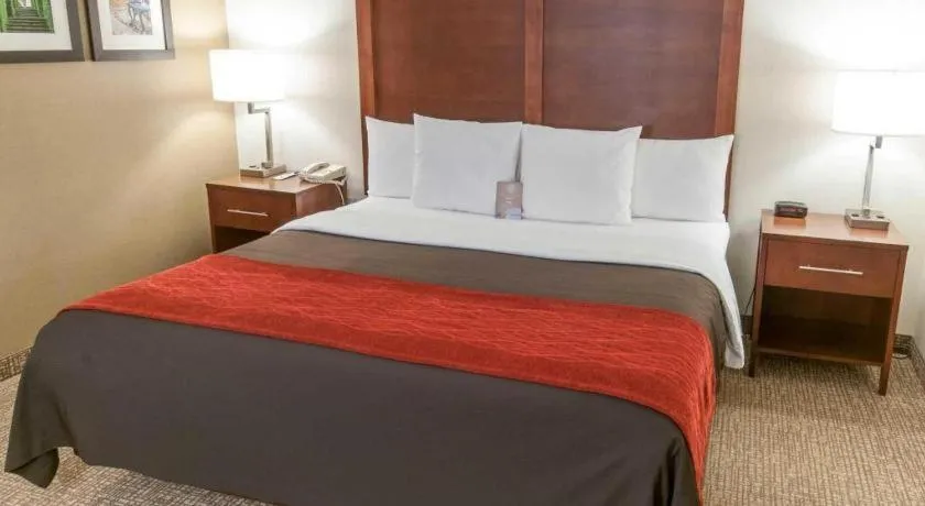 Comfort Inn Quantico