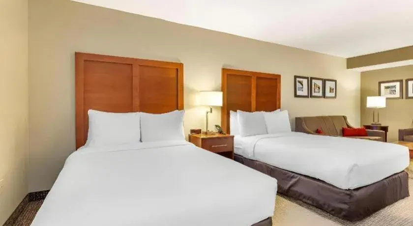 Bed in Comfort Inn Quantico Bed in Comfort Inn Quantico