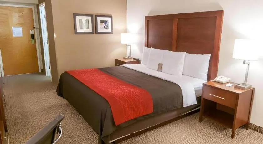 Bed in Comfort Inn Quantico
