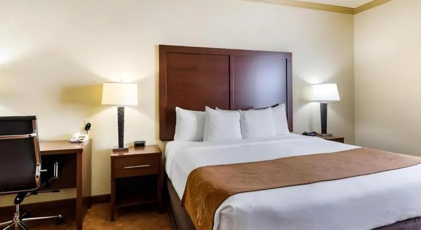 Bed in Comfort Suites near NASA - Clear Lake