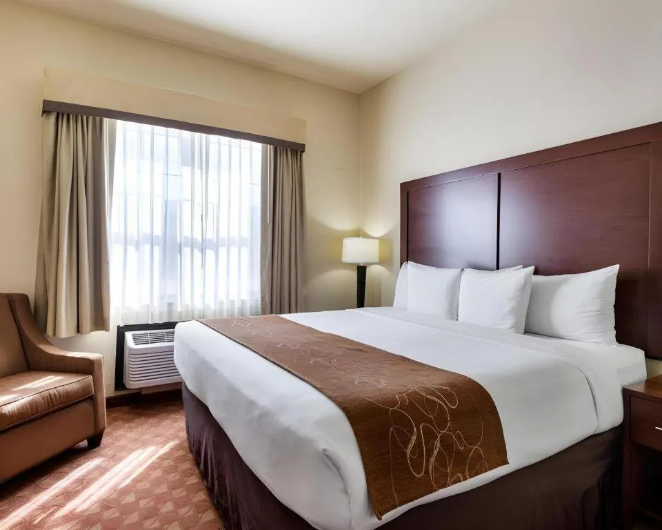 Bed in Comfort Suites near NASA - Clear Lake