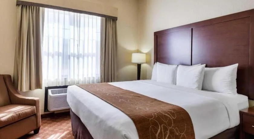 Bed in Comfort Suites near NASA - Clear Lake