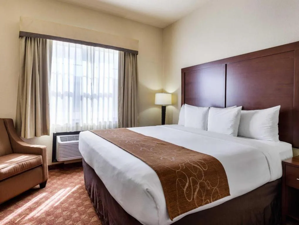 Bed in Comfort Suites near NASA - Clear Lake