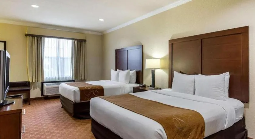 Bed in Comfort Suites near NASA - Clear Lake
