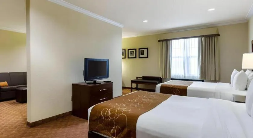 Bed in Comfort Suites near NASA - Clear Lake