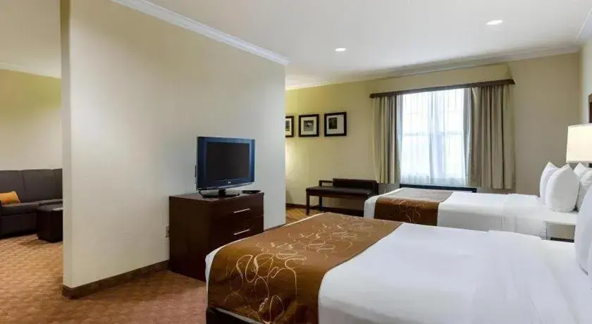 Bed in Comfort Suites near NASA - Clear Lake Bed in Comfort Suites near NASA - Clear Lake