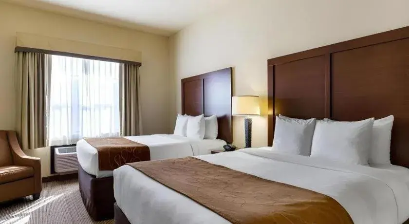 Bed in Comfort Suites near NASA - Clear Lake Bed in Comfort Suites near NASA - Clear Lake