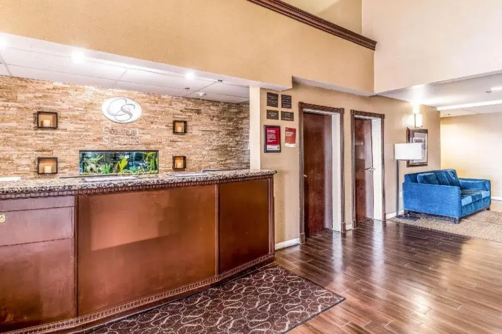 Comfort Suites Comfort Suites