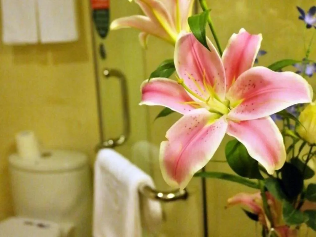 GreenTree Inn Shanghai Jingan Railway Station Xinzha Road Business Hotel