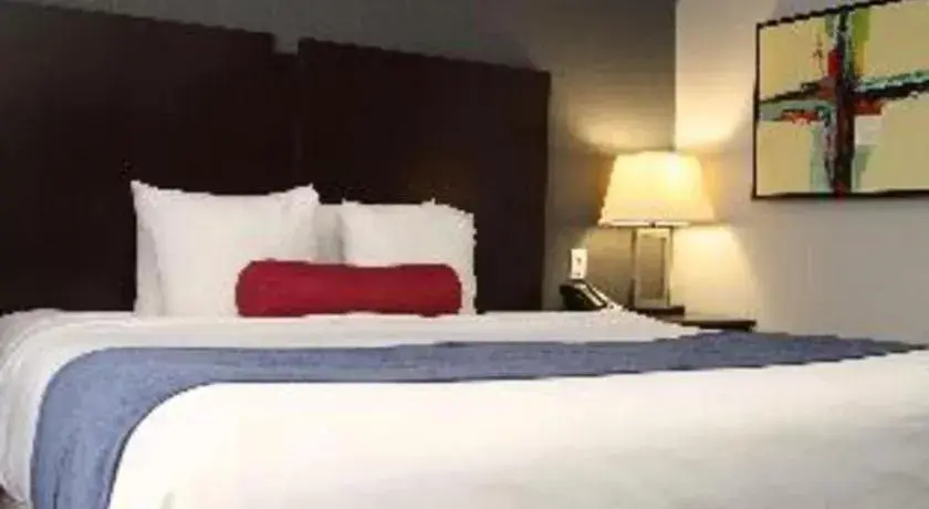 Bed in Best Western Plus Olathe Hotel Bed in Best Western Plus Olathe Hotel