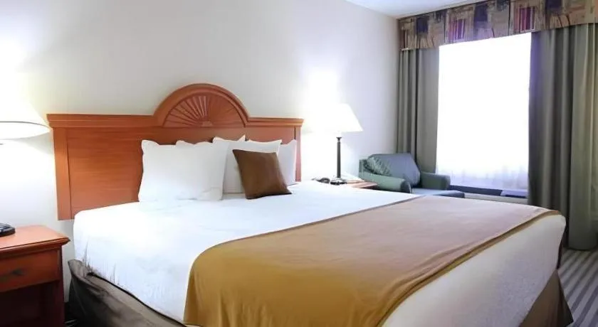 Bed in Best Western Plus Twin View Inn & Suites