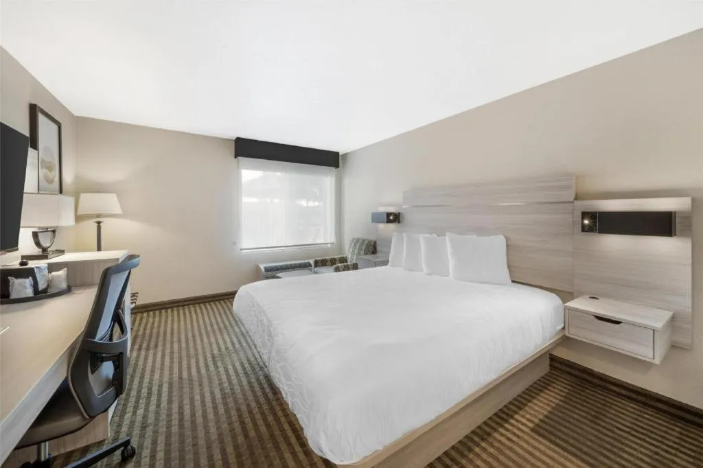 Bed in Best Western Plus Twin View Inn & Suites