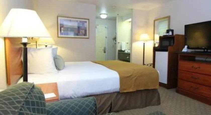 Bed in Best Western Plus Twin View Inn & Suites