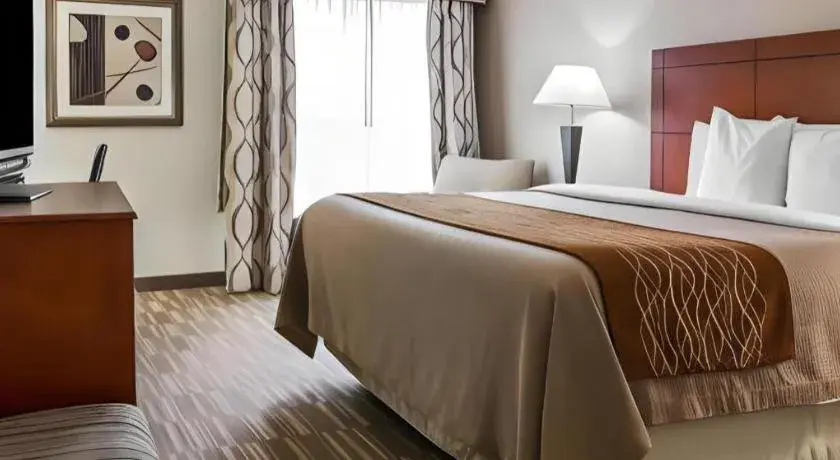Bed in Comfort Inn & Suites University South Bed in Comfort Inn & Suites University South