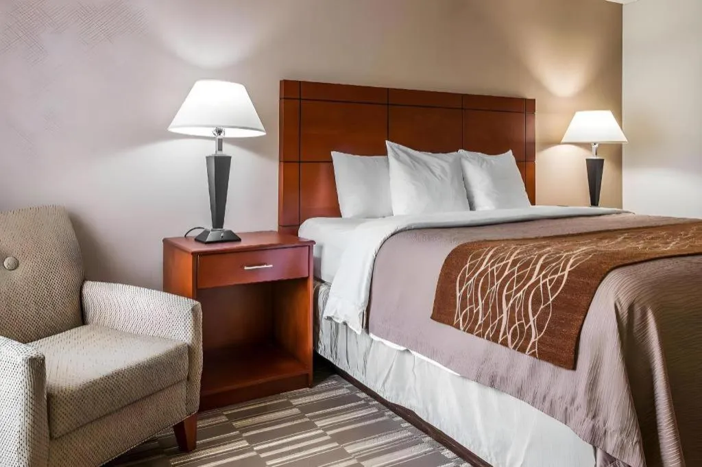 Bed in Comfort Inn & Suites University South