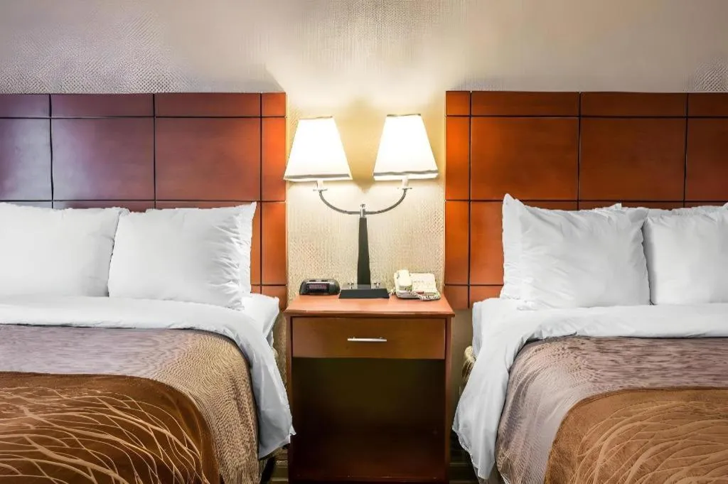 Bed in Comfort Inn & Suites University South