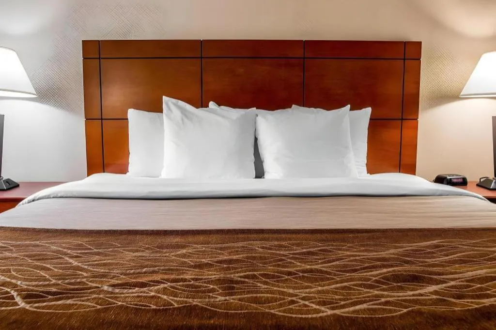 Bed in Comfort Inn & Suites University South