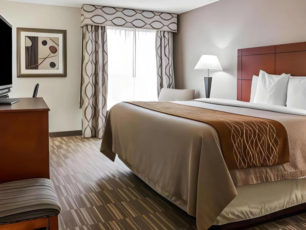 Bed in Comfort Inn & Suites University South