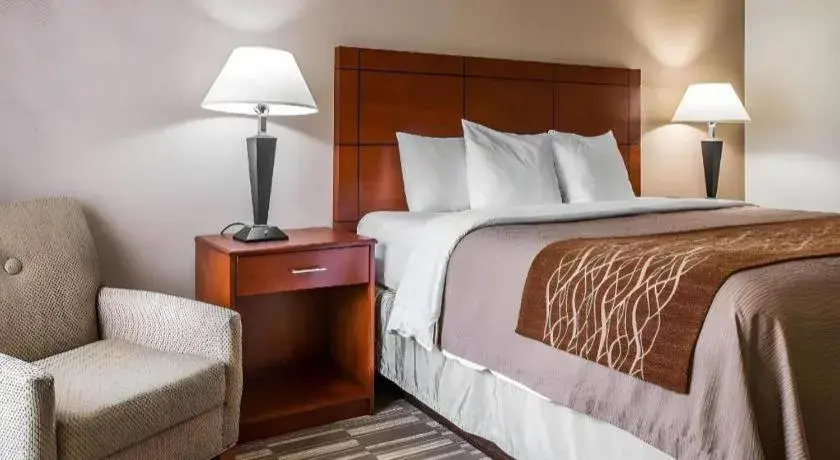 Bed in Comfort Inn & Suites University South Bed in Comfort Inn & Suites University South