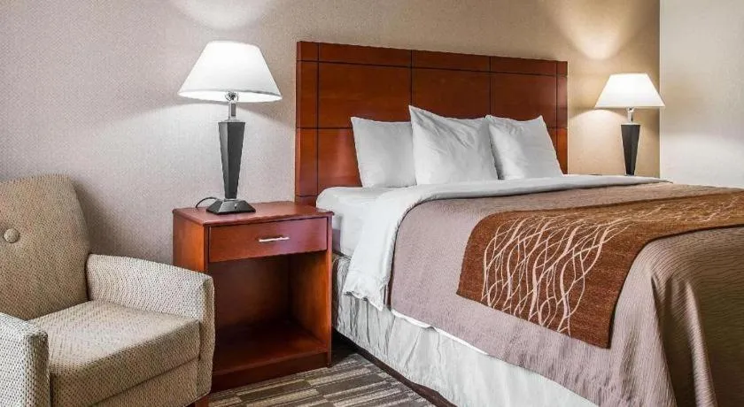 Bed in Comfort Inn & Suites University South