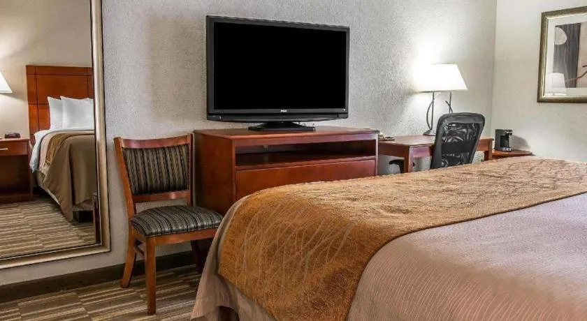 Bed in Comfort Inn & Suites University South