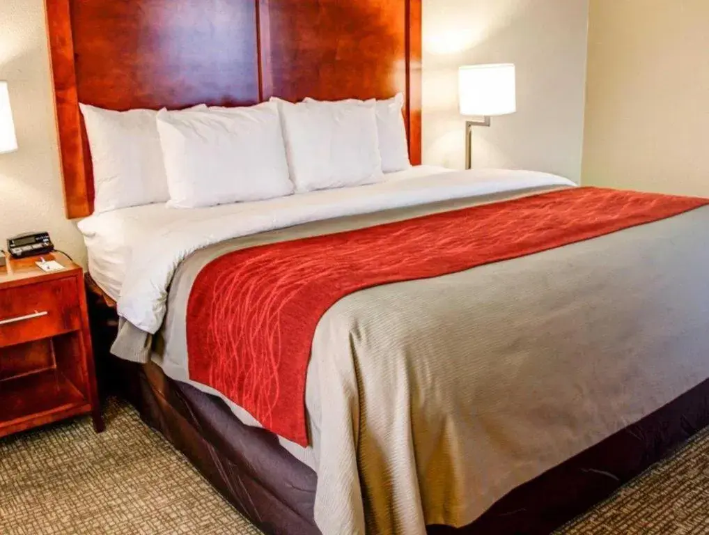 Bed in Comfort Inn Bessemer Birmingham South Bed in Comfort Inn Bessemer Birmingham South