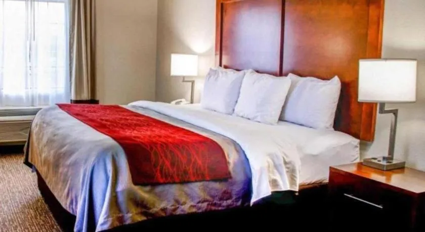 Comfort Inn Bessemer Birmingham South