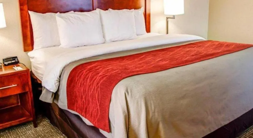 Comfort Inn Bessemer Birmingham South