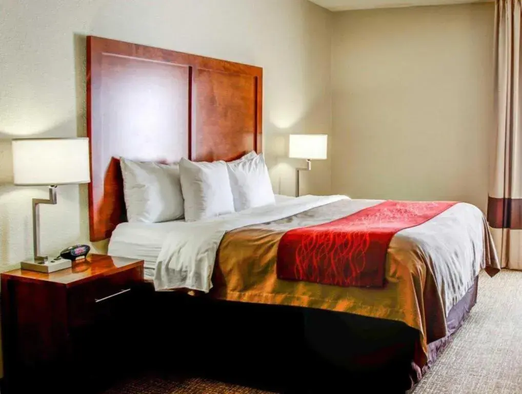 Bed in Comfort Inn Bessemer Birmingham South Bed in Comfort Inn Bessemer Birmingham South