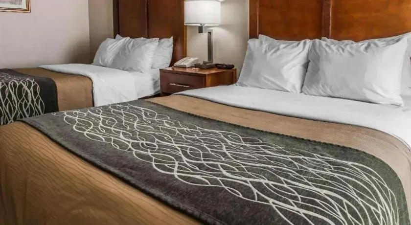 Bed in Quality Inn Waynesburg - Morrisville Bed in Quality Inn Waynesburg - Morrisville