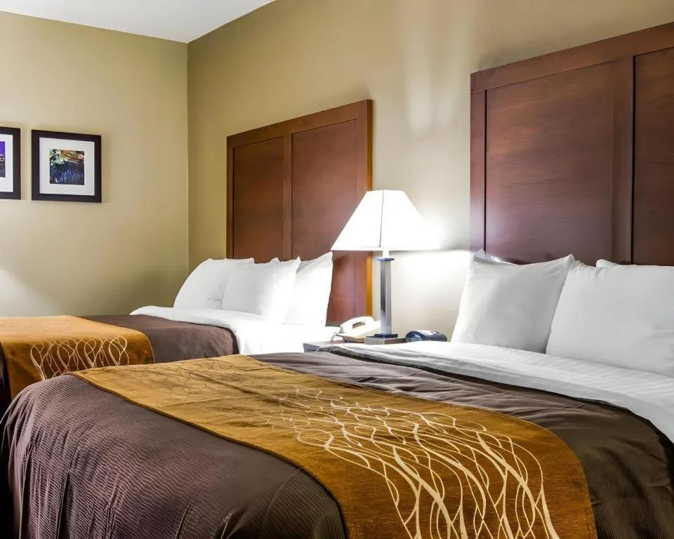 Bed in AmericInn by Wyndham Memphis East