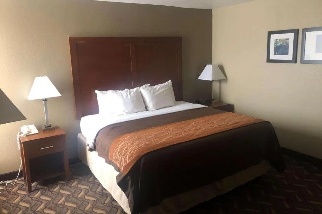 Bed in AmericInn by Wyndham Memphis East