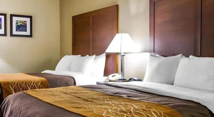 Bed in AmericInn by Wyndham Memphis East Bed in AmericInn by Wyndham Memphis East