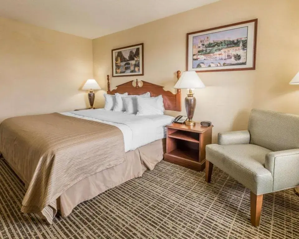 Bed in Rodeway Inn Sylacauga Hwy 280 Bed in Rodeway Inn Sylacauga Hwy 280