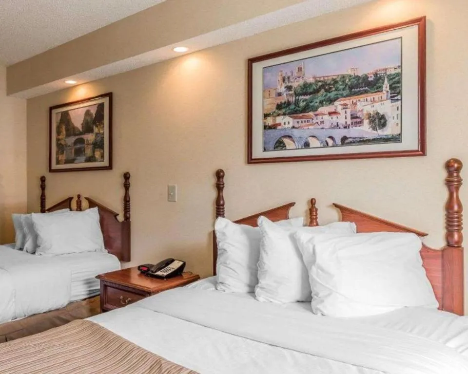 Bed in Rodeway Inn Sylacauga Hwy 280