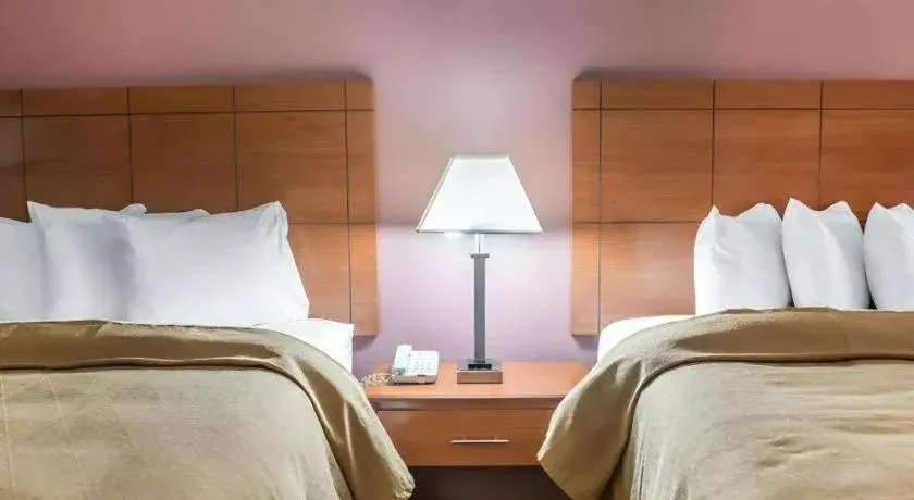 Bed in Quality Inn Bed in Quality Inn